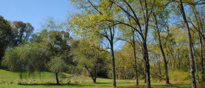 grove resh mill 1920