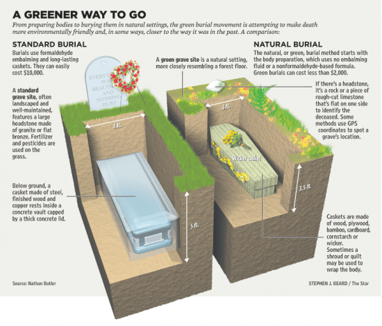 A-Greener-Way-To-Go-Standard-Burial-Versus-Natural-Green-Burial